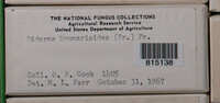 Image Associated With the Occurence